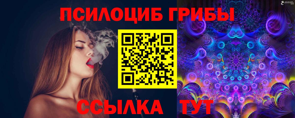 Псилоцибиновые грибы мухоморы  Псилоцибиновые грибы GOLDEN TEACHER  Истра  сколько стоит  Вход с VPN 