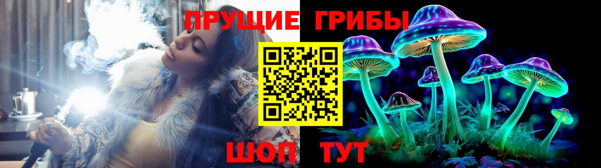 Псилоцибиновые грибы Psilocybe Истра